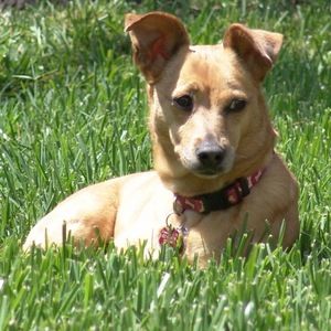 Meet your Posher, Natalie